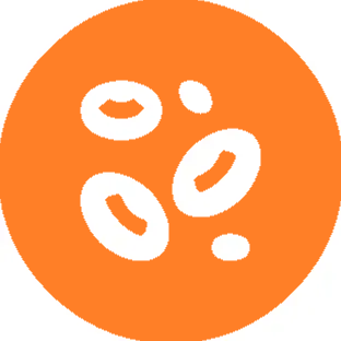 Haemato Oncology